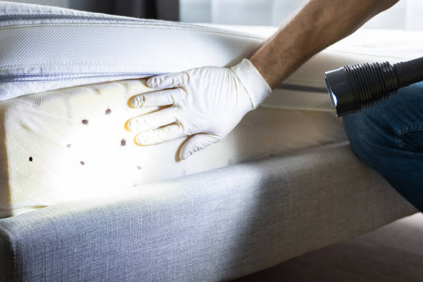 Best Best Pest Control Companies  in Cuba, MO