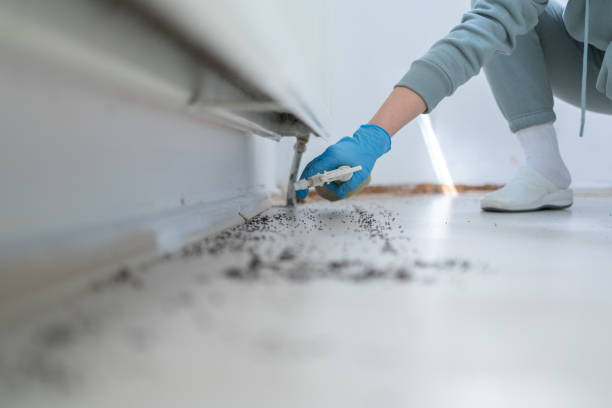 Best Affordable Pest Control Services  in Cuba, MO