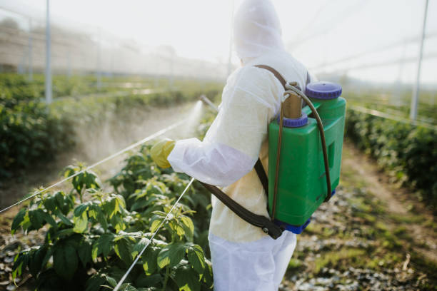 Best Local Pest Control Services  in Cuba, MO